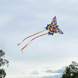 BUTTERFLY KITE