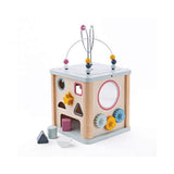 FSC ACTIVITY CUBE