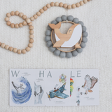 THE INCREDIBLE ABC FLASH CARDS