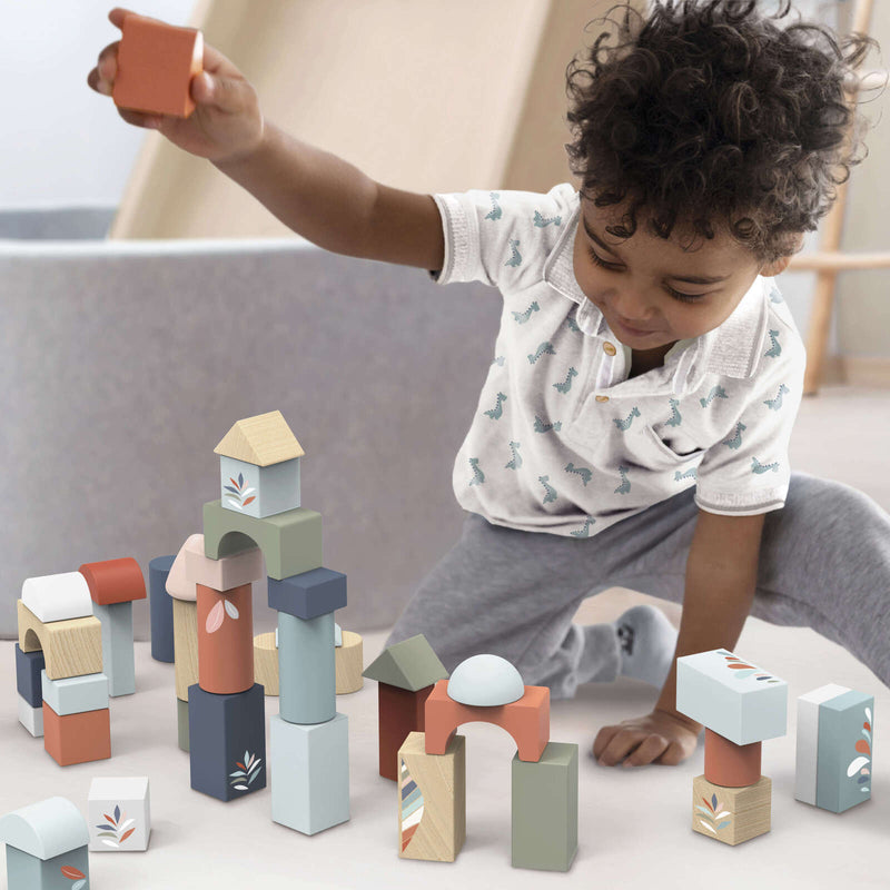 BUILDING BLOCKS- 50 pc set