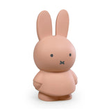 MIFFY POWDER MONEY BOX