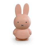 MIFFY POWDER MONEY BOX