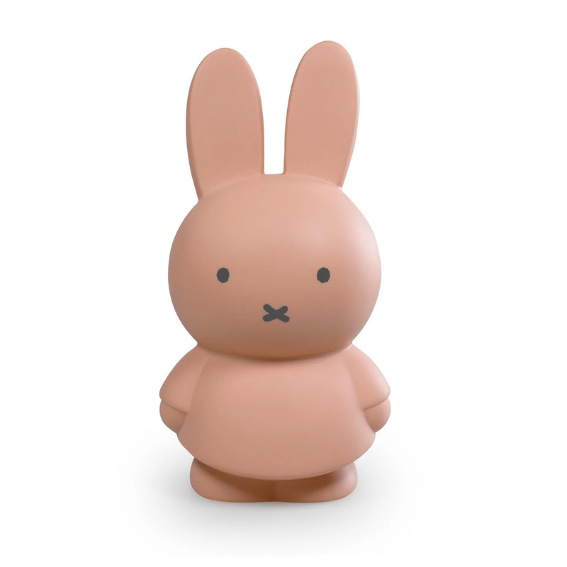 MIFFY POWDER MONEY BOX