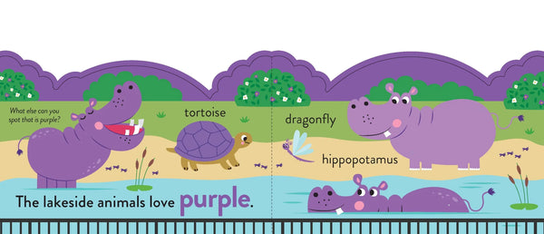CHUNKY SCENES BOARD BOOK - My First Colours - At the Zoo