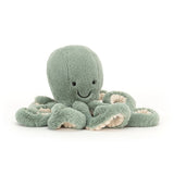 ODYSSEY OCTOPUS - Small