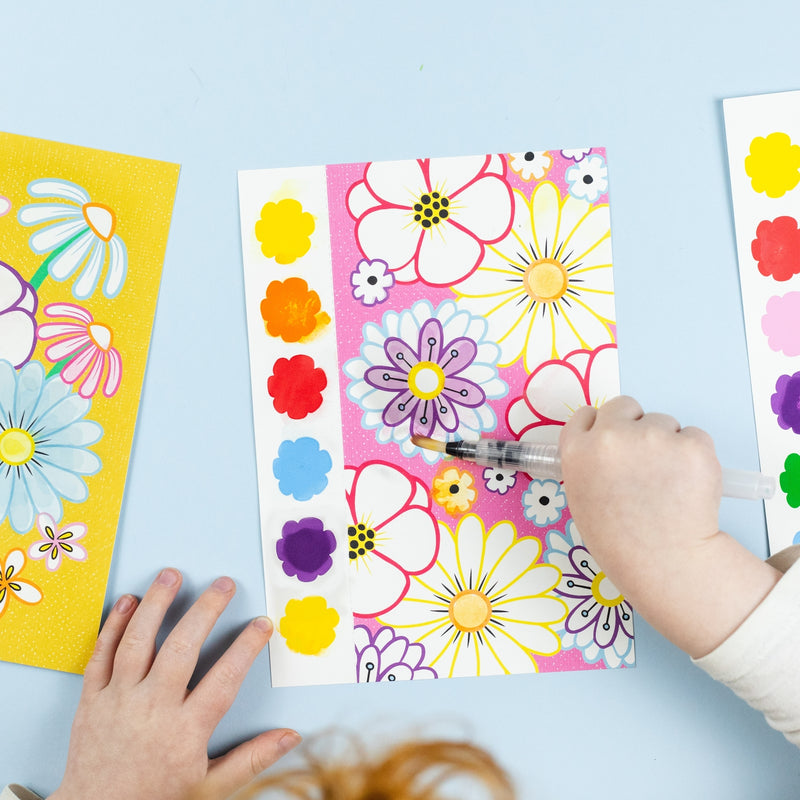 PAINT - A - PICTURE SET - Butterflies & Flowers