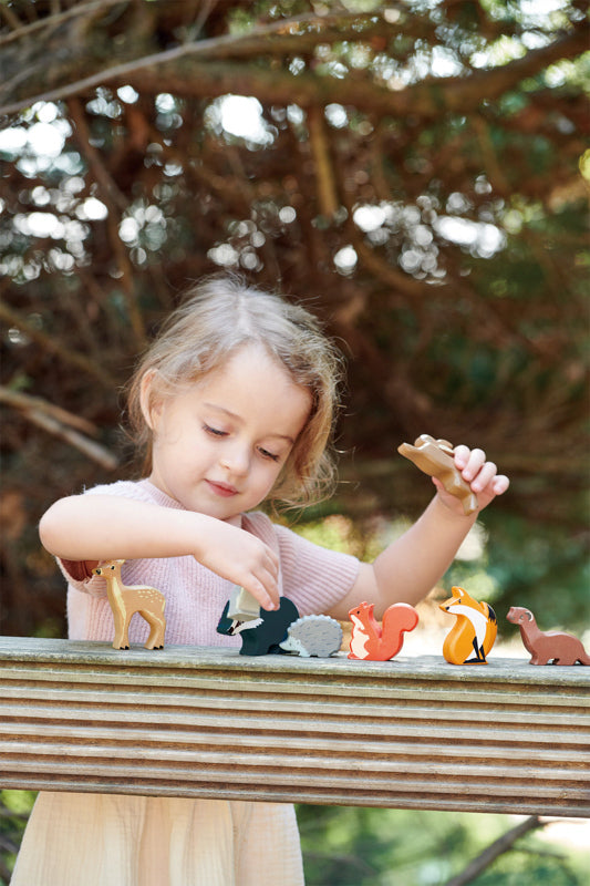 WOODLAND ANIMALS DISPLAY SHELF SET