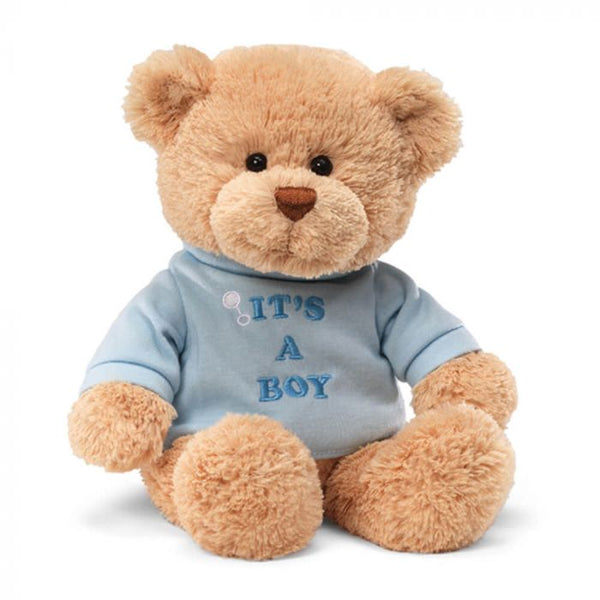 MESSAGE BEAR - It's a Boy
