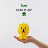 LION BUNDLE OF LIGHT